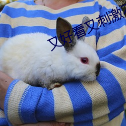 又好看又刺激不封号