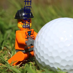 武林萌主