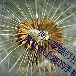 “兩人夜晚打撲克劇烈運動又疼又叫”:一款讓你上瘾的手機