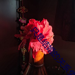 只是結婚的關系免費看24集