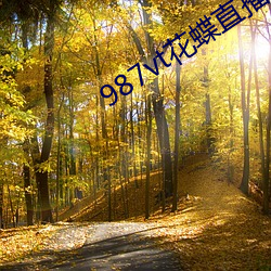 987vt花蝶直播(播)下载