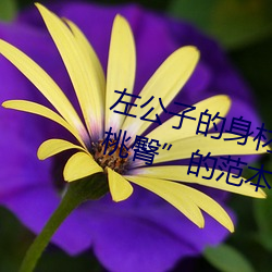 左公子的身材火了!堪称为“性感蜜桃臀”的范本!你想不想拥