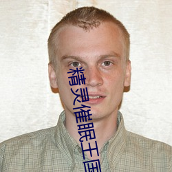 精灵催眠王国