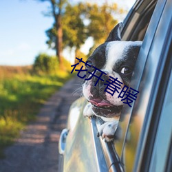 花(花)开(開)春(春)暖
