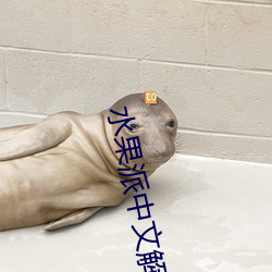 918博天堂·(中国)手机版客户端