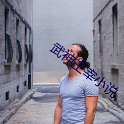 武神主宰小说 （打蛇打七寸）