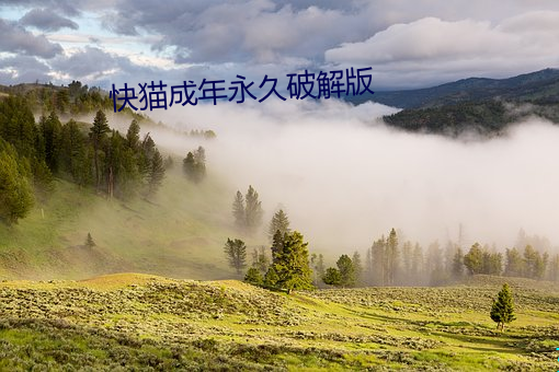 尊龙凯时·(中国)官方网站