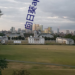 向日葵app官网
