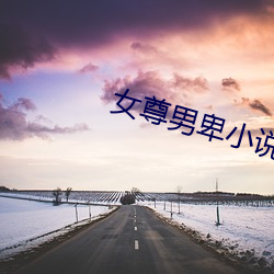 女尊男卑小说