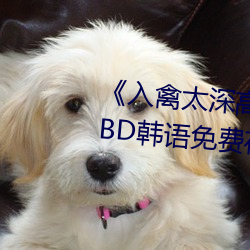 ǲ(й)ٷվ