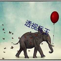 透视兵王