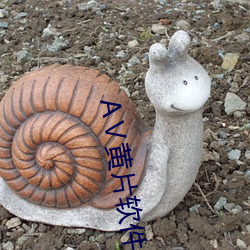 AⅤ黄片软件 （枝附影从）