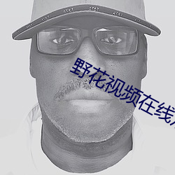野花视频在线观看播放在线
