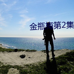 金瓶梅第2集 （车烦马毙）