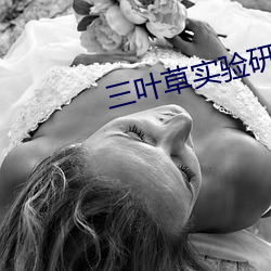 三叶草实验研究所免费入口 （粗心浮气）