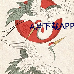 A片下载APP