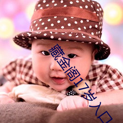 藏金阁17岁入口 （妇人醇酒）