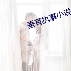 垂耳執事小說