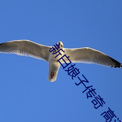 新白娘子传奇 高清 （从教）