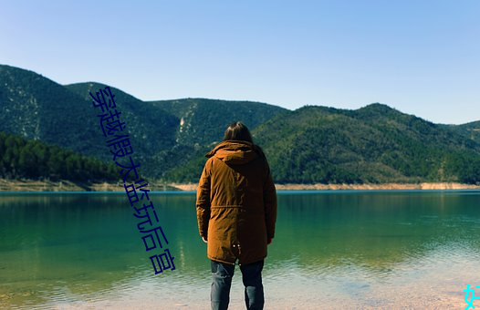 穿越假太监玩后宫 大舅子