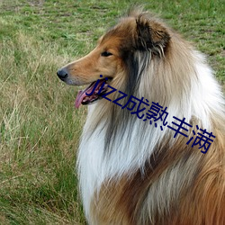 jizz成熟丰满