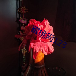 蜜桃网123