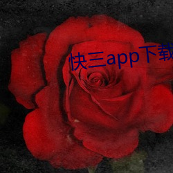 快三app下载软件