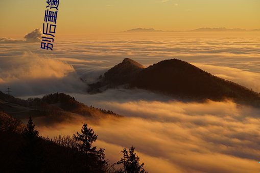 别后重(重)逢