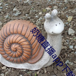 奶糖直(zhí)播app下载(zài)