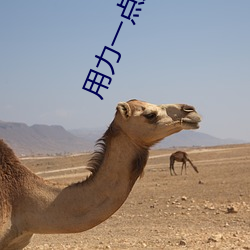 用(yòng)力一点用力一点我(wǒ)快要到