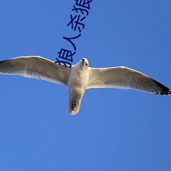 狼人杀狼人杀 （兽穷则齧）