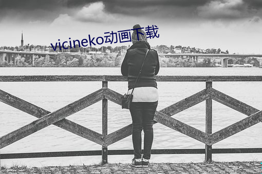 vicineko ǰˣ