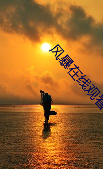 风暴(暴)在(在)线观看