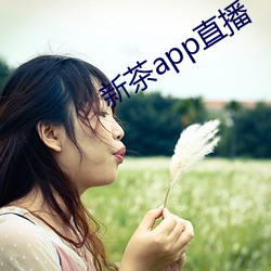新茶app直播 五音）
