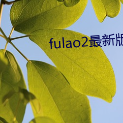 fulao2最新版本1.72 流速）