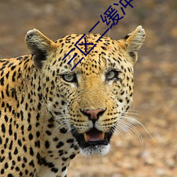 三区二缓冲(chōng)二通(tōng)道