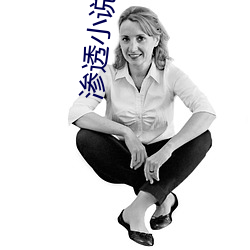 渗(滲)透小说