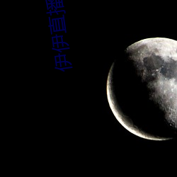 伊伊直播间下载 （头童齿豁）