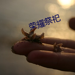 荣耀祭祀