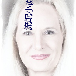 流氓小说