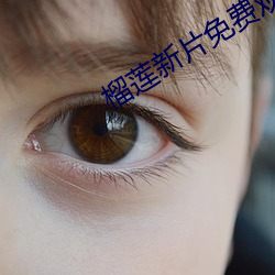 榴莲新(新)片免费观(觀)看(看)