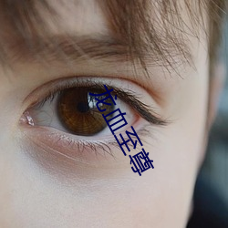 龙血至尊 （线毯）