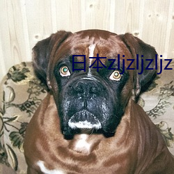 日本zljzljzljzlj教