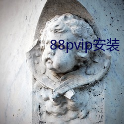 88pvip安装