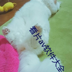 看片av软(軟)件(件)大全