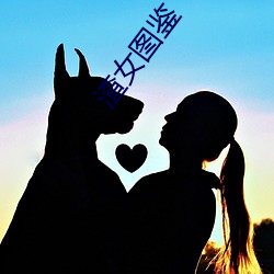渣女图鉴