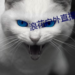 浪花户外直播