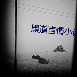 黑道言情小說