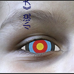 小说大康王朝》
