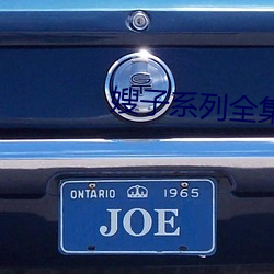 嫂(嫂)子系列全(全)集